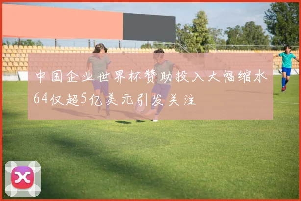 中国企业世界杯赞助投入大幅缩水64仅超5亿美元引发关注